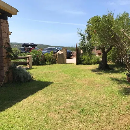 Meravigliosa * レーナ・マイオレ